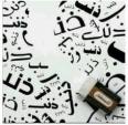 الصورة الرمزية عبير الصمت