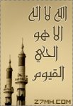 الصورة الرمزية بنت الأسلام