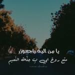الصورة الرمزية جنون الحياه