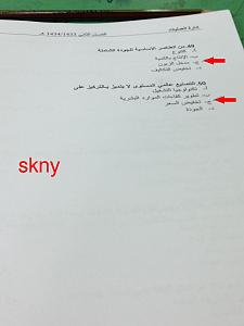 -a9.jpg
