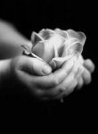   The Pure Heart