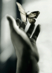   ƨ̈ɑ̈lм̈ɑ..