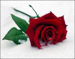   Om_Ahmad