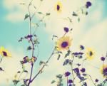   mayam..