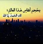   Mesho Al-Ali