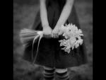   noorh__ff