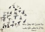   nosa_ak