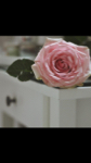   jory_s