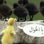   3bdLkareeM