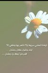   doody mohammed