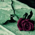   ♥  ♥