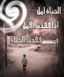   abdulmajeed m