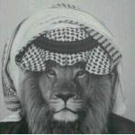 الصورة الرمزية ابو جـوري
